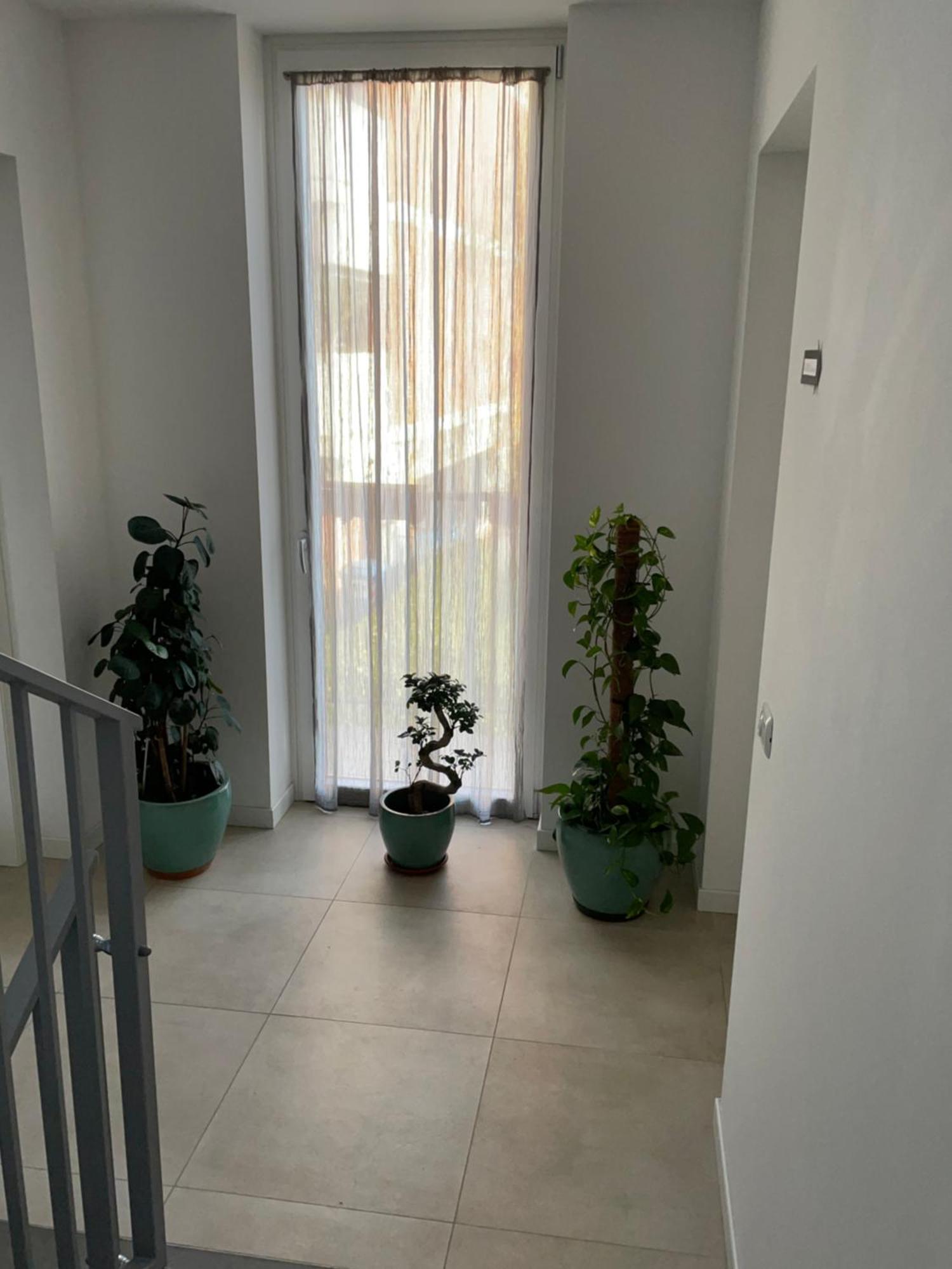 Green Stay ברגמו מראה חיצוני תמונה